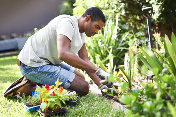 gardening